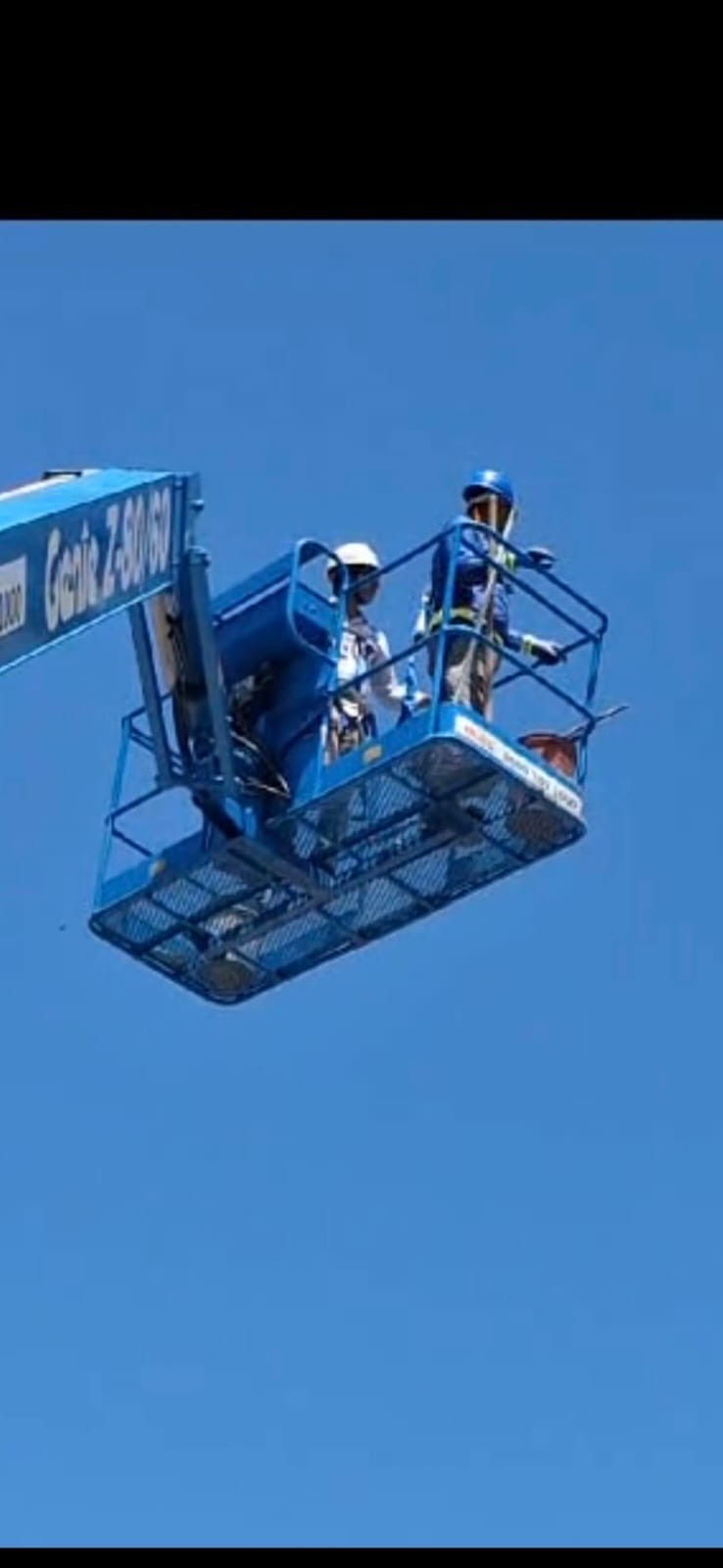 Serviço especializado